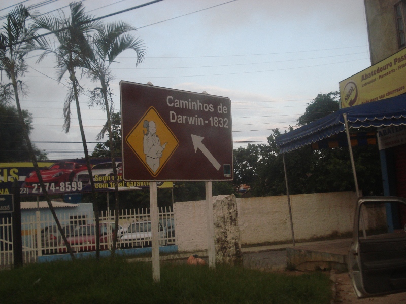 Darwin esteve aqui! Barra de São João, RJ (se não me engano...)
